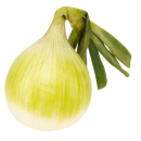 100697