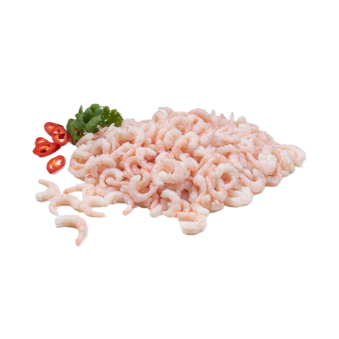 103677